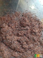 有色金屬?gòu)U料 城市礦山中的綠色寶藏